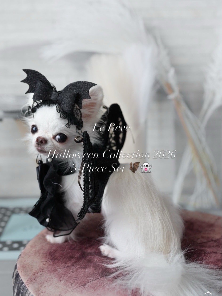 2026 New Halloween 3-Piece Set