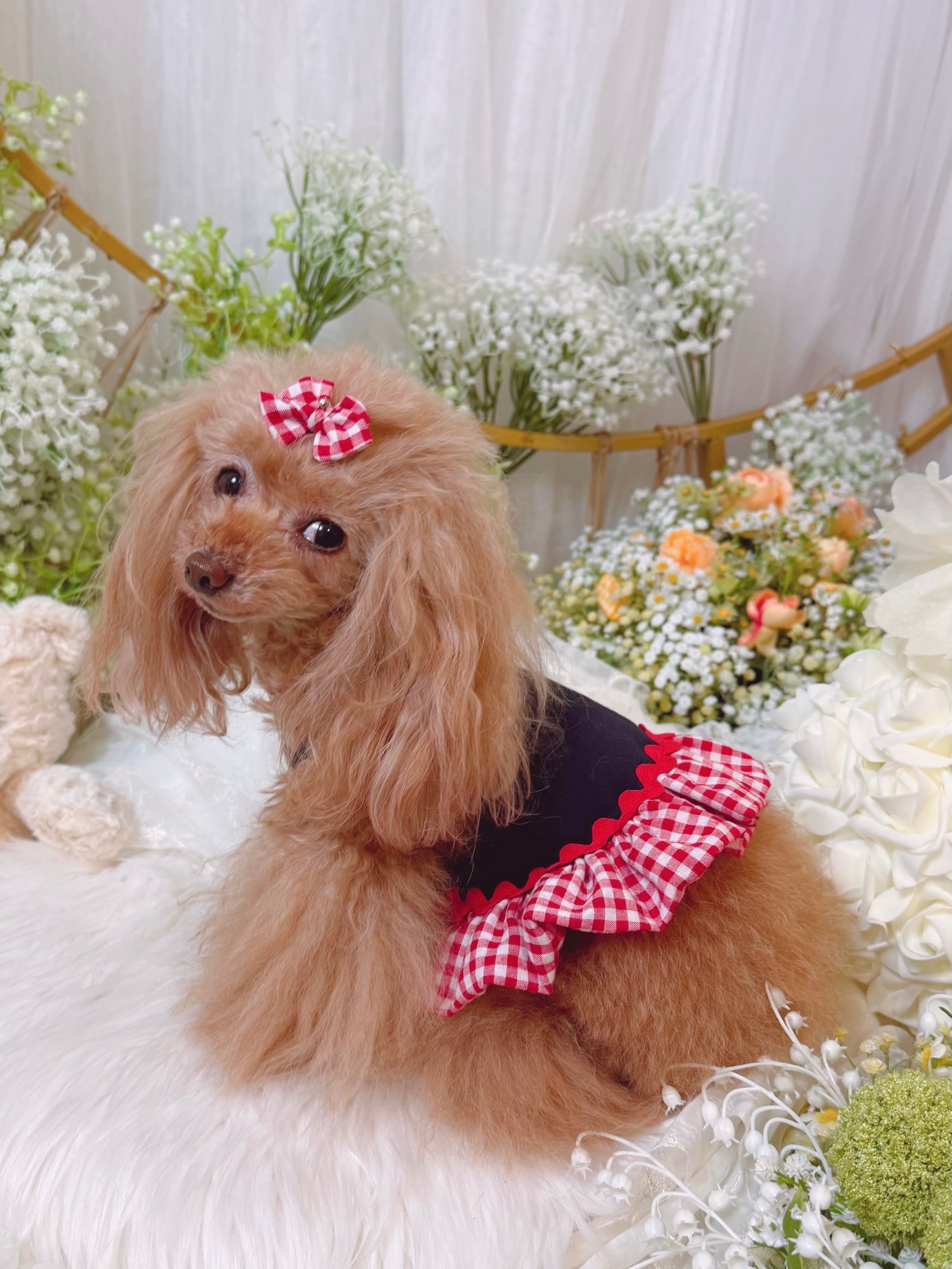 Sparkling Dog 2025SS 一部入荷　即納でお届けできます