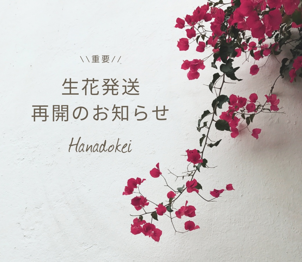 ＼＼生花発送再開のお知らせ／／