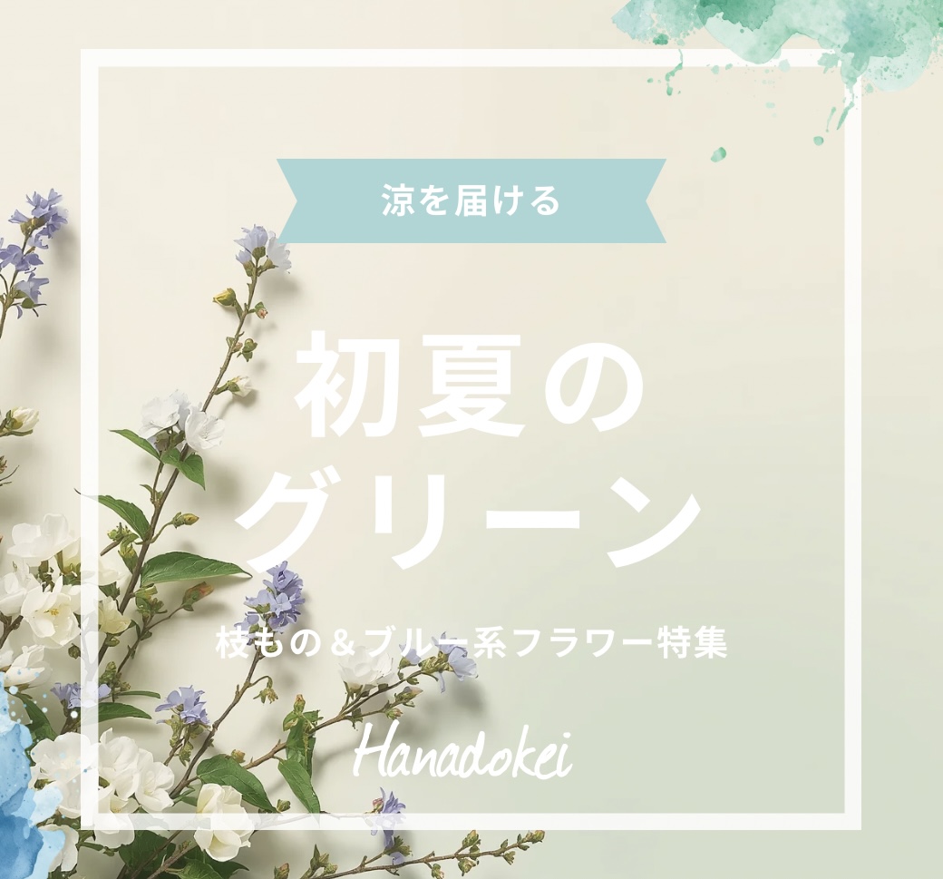 ＼お部屋に涼と元気を届ける。初夏のグリーン＆フラワー特集／