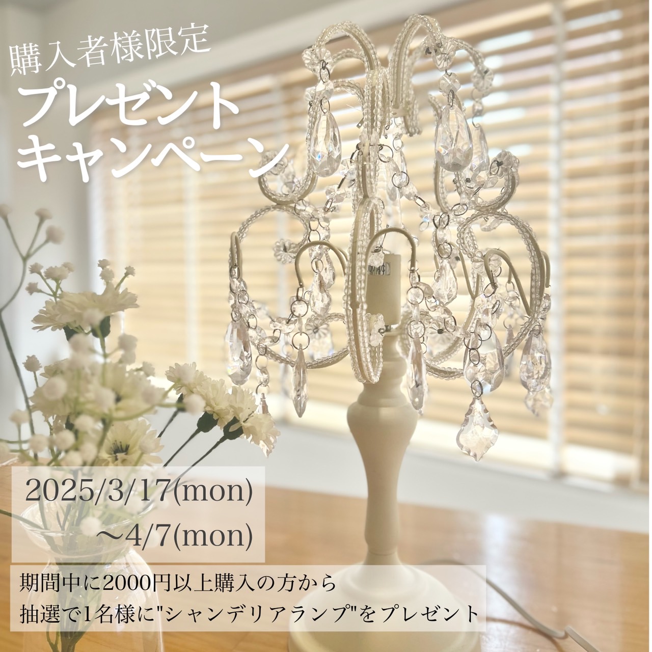 【プレゼントキャンペーン】2000円以上ご購入のお客様が対象のキャンペーン