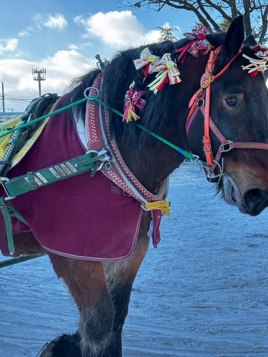 2026年　新年のご挨拶