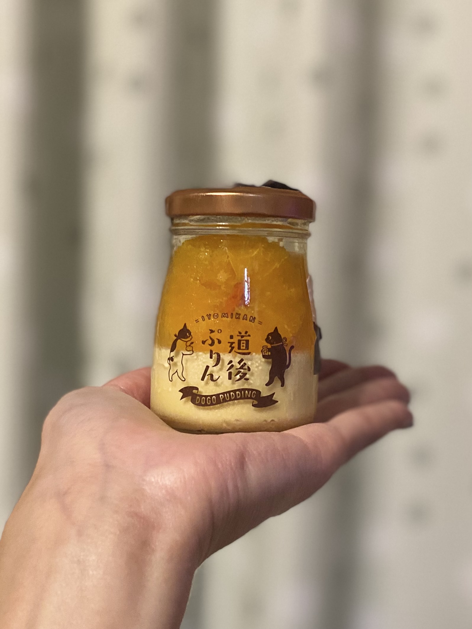 やっぱりぷりんですね