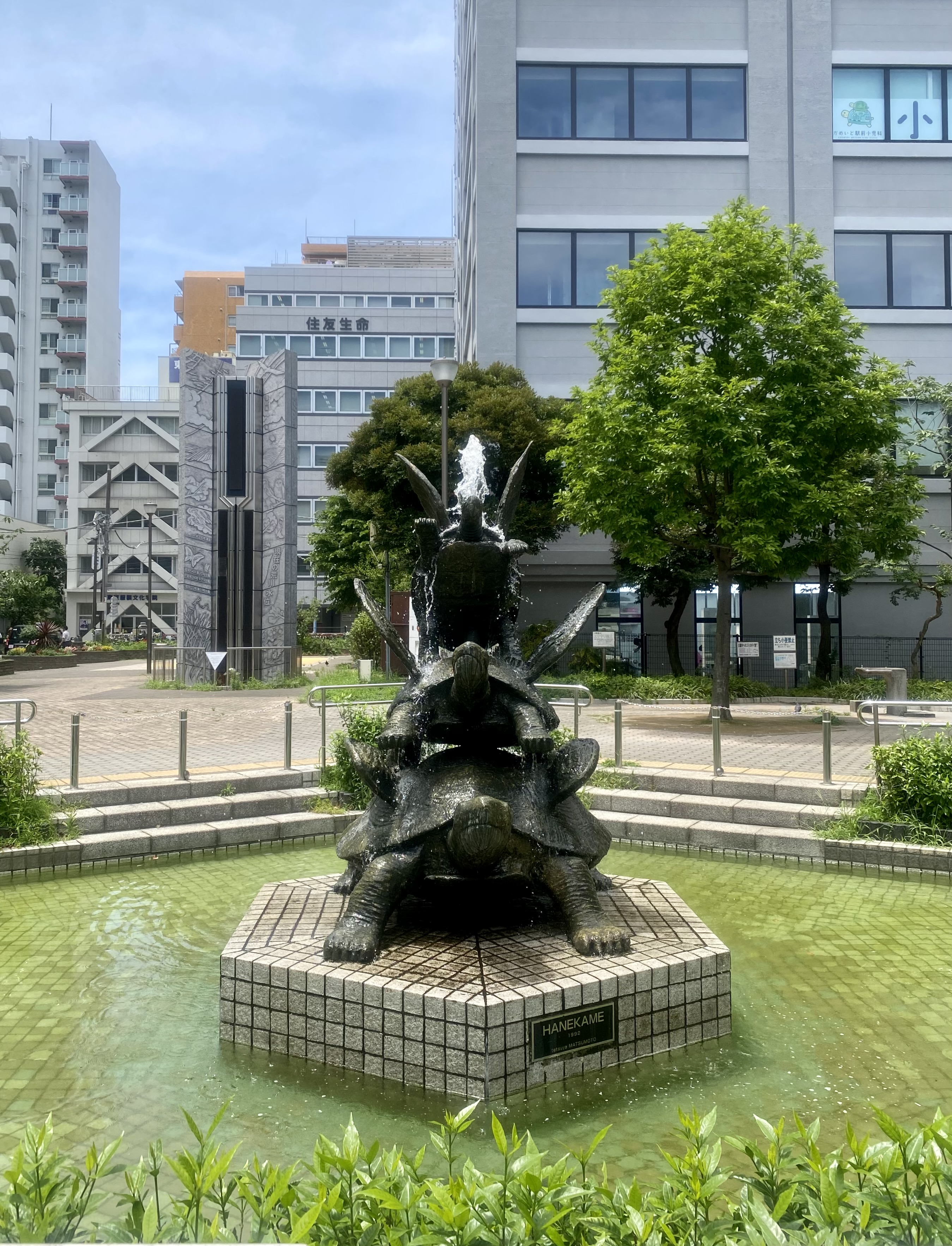 はね亀🐢