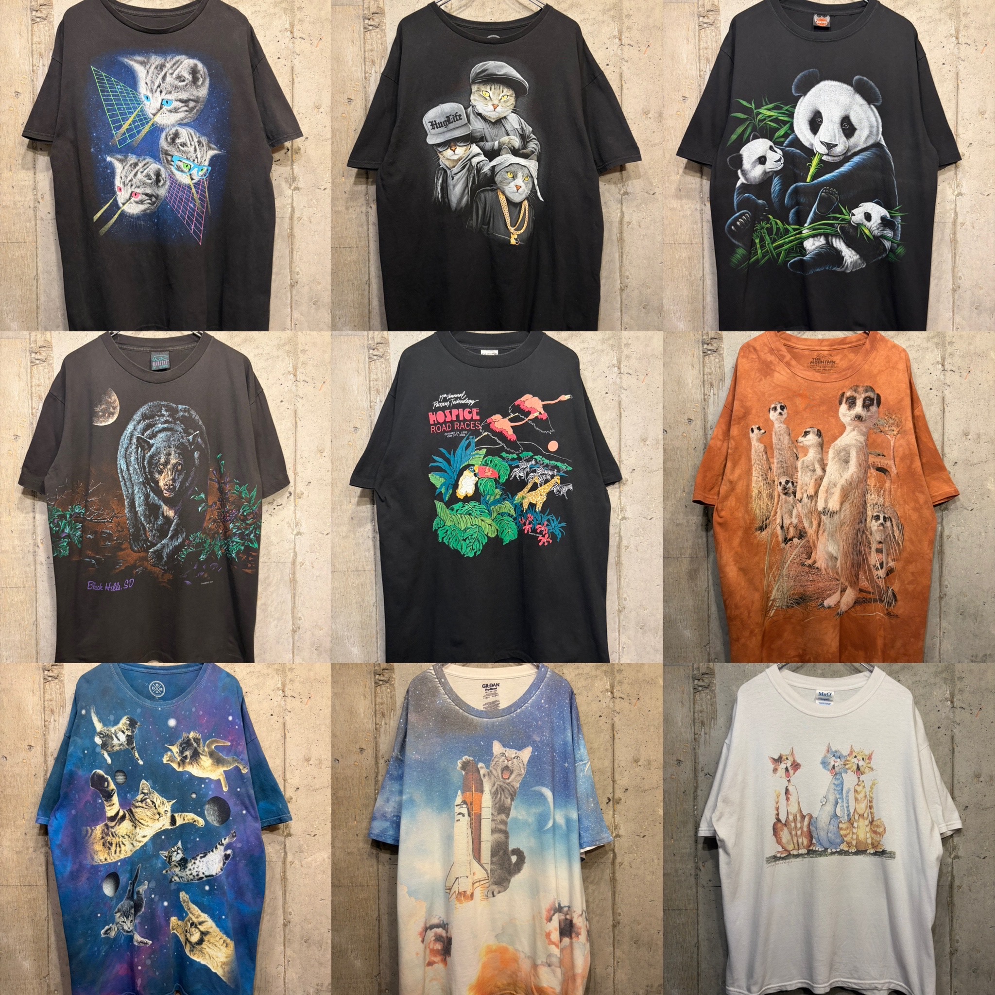 動物さん tシャツスタートです🐈