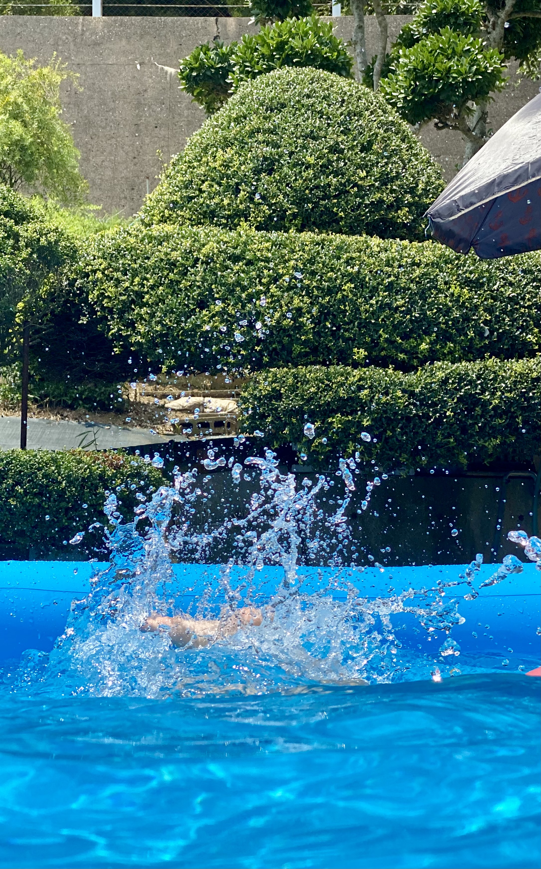 夏休み③