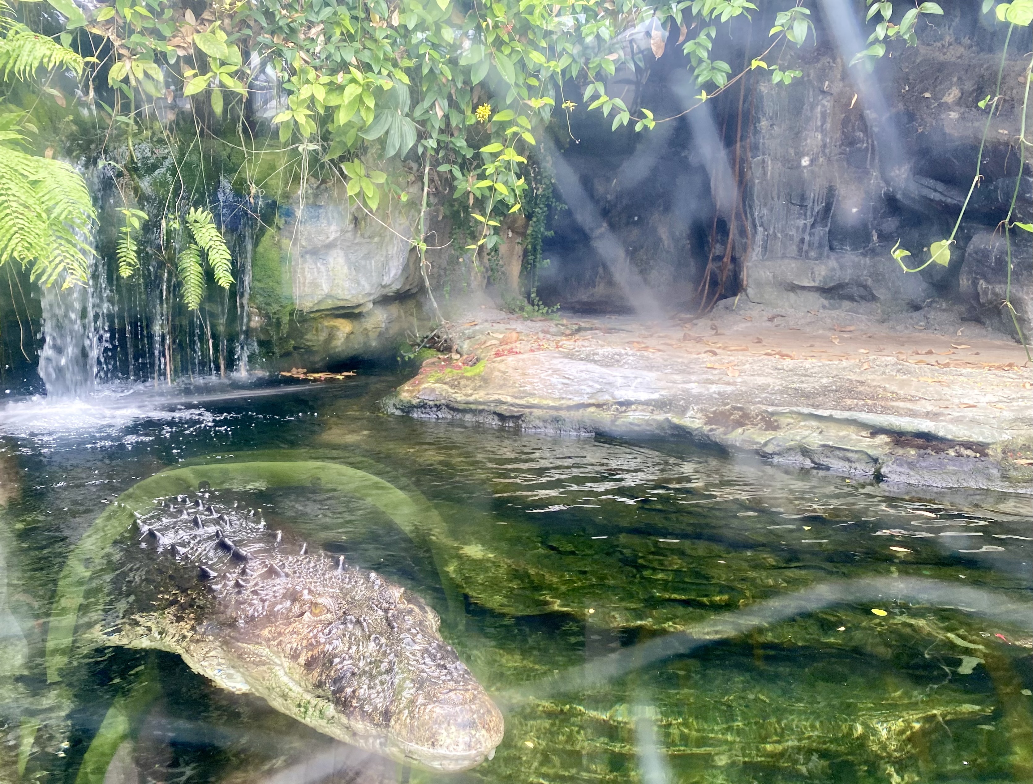 上野動物園