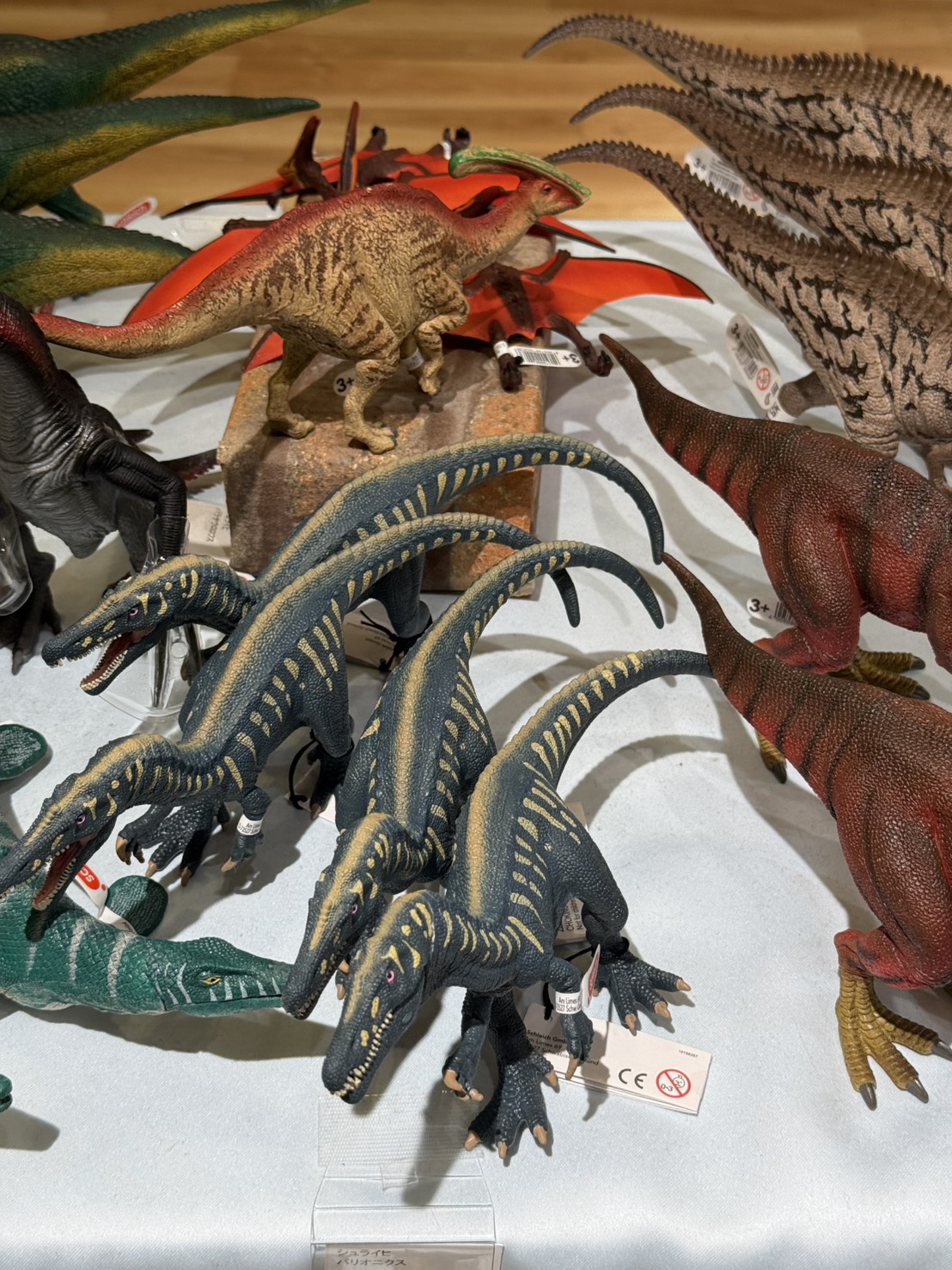 恐竜さん🦖🦕