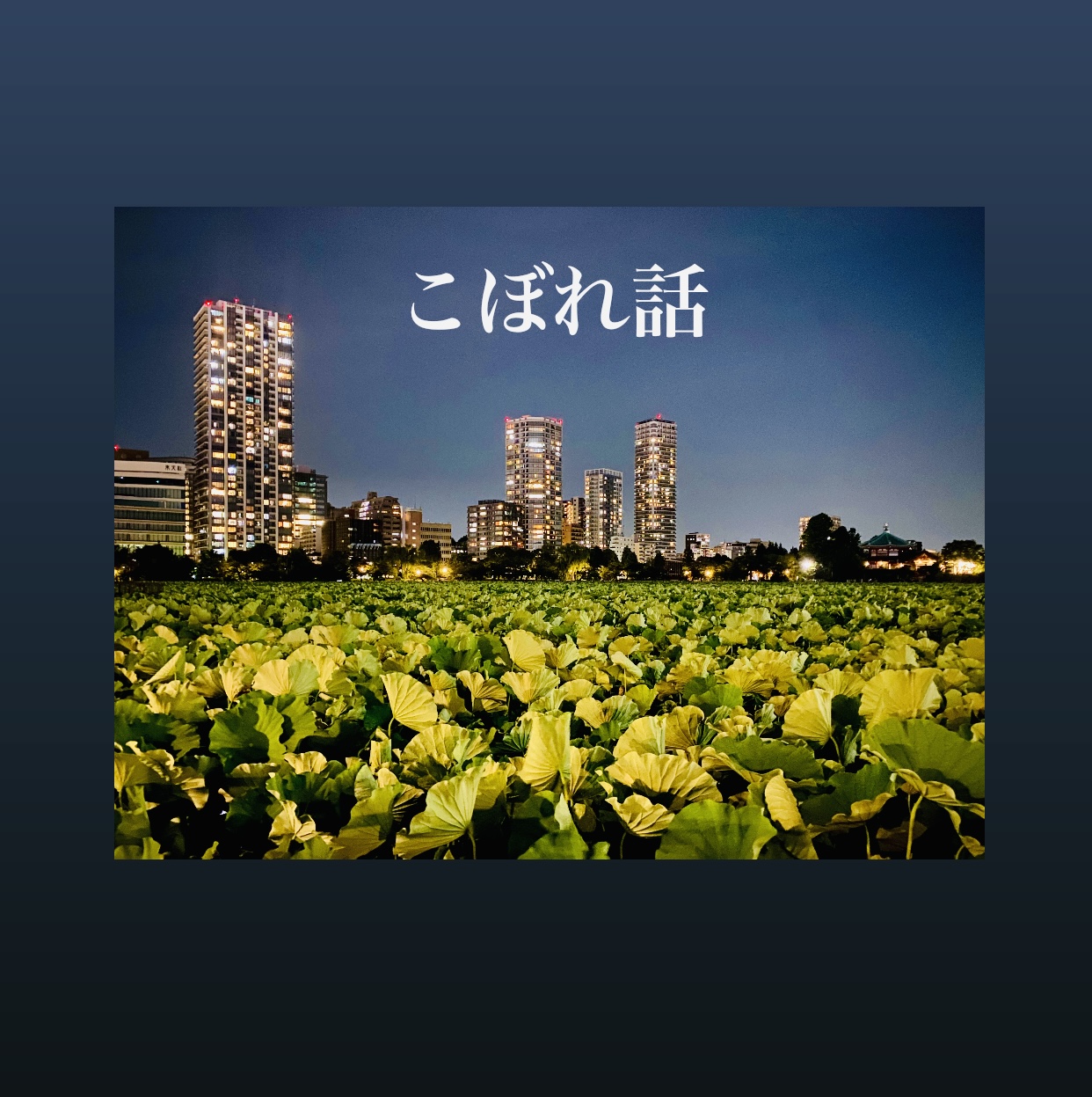 こぼれ話   ~~営業後の物語~~