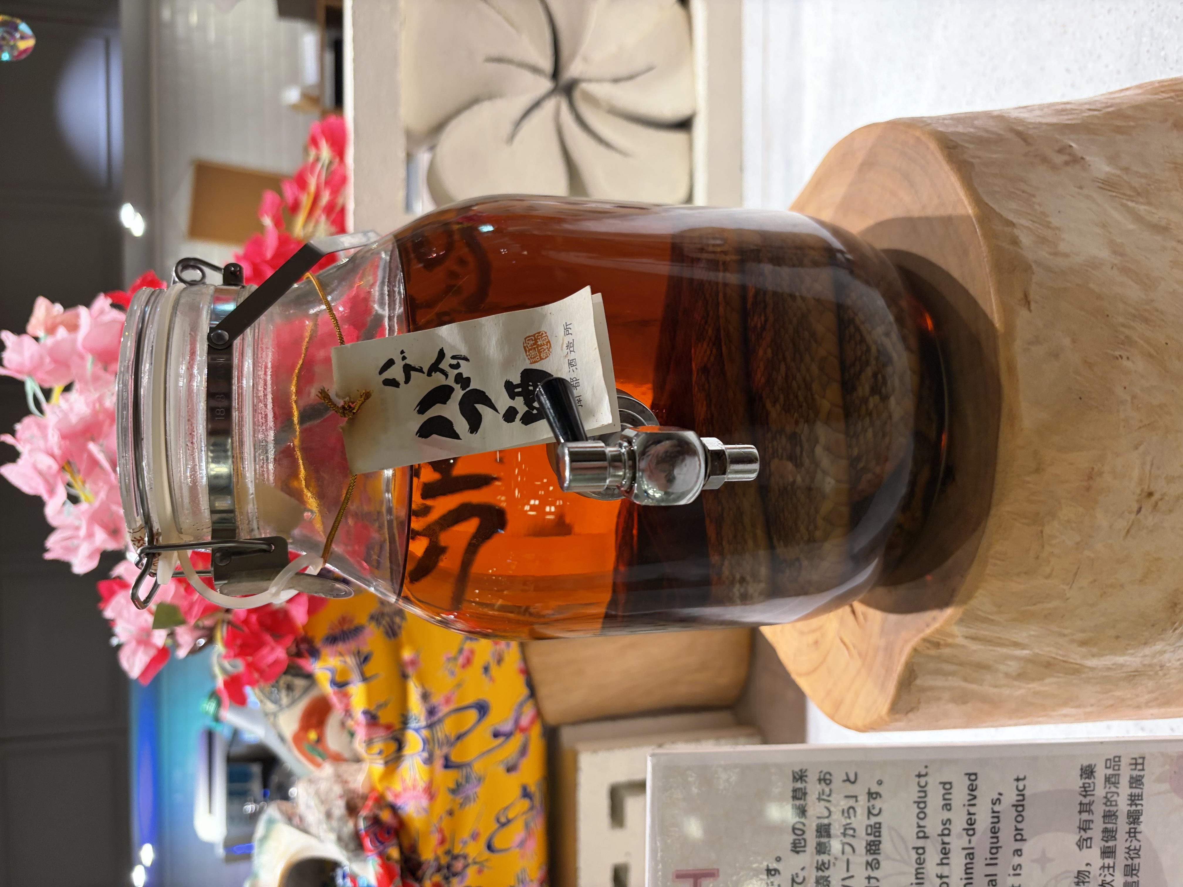 人生初の🐍🍶