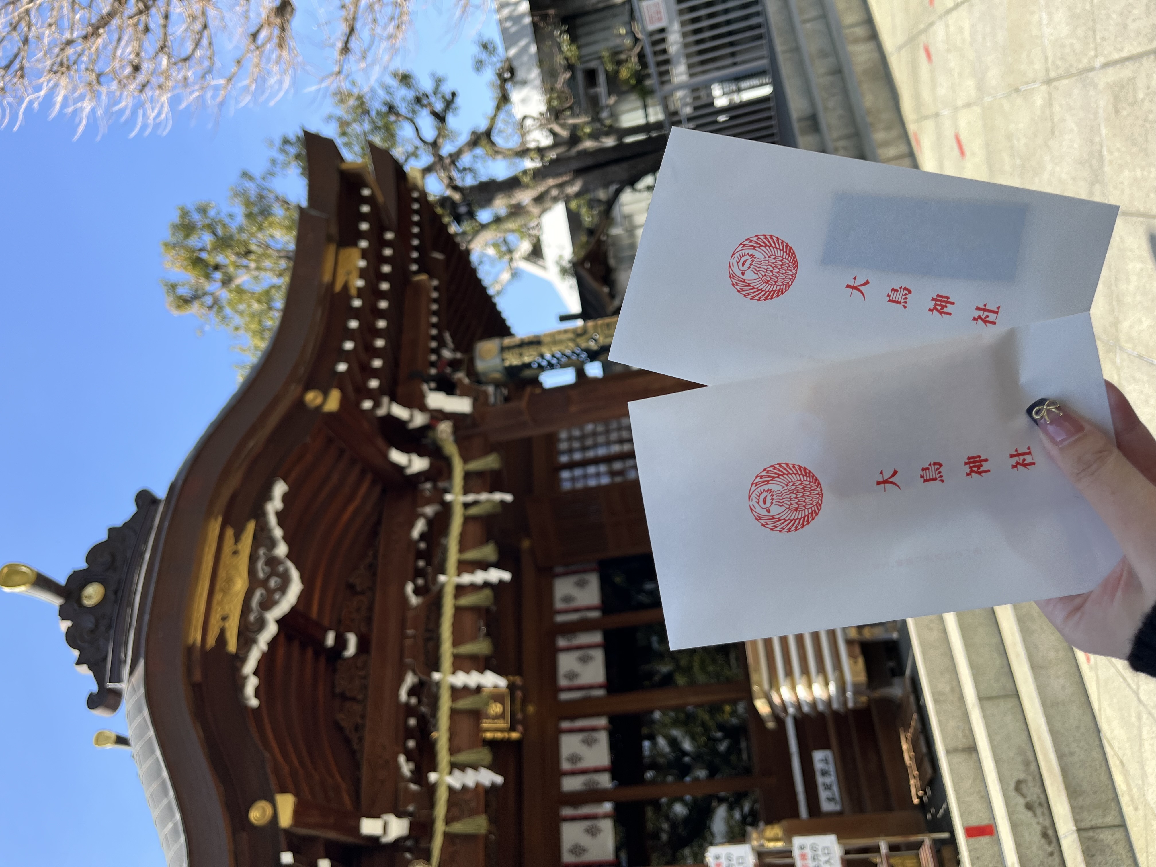 常設店舗追加のお知らせ