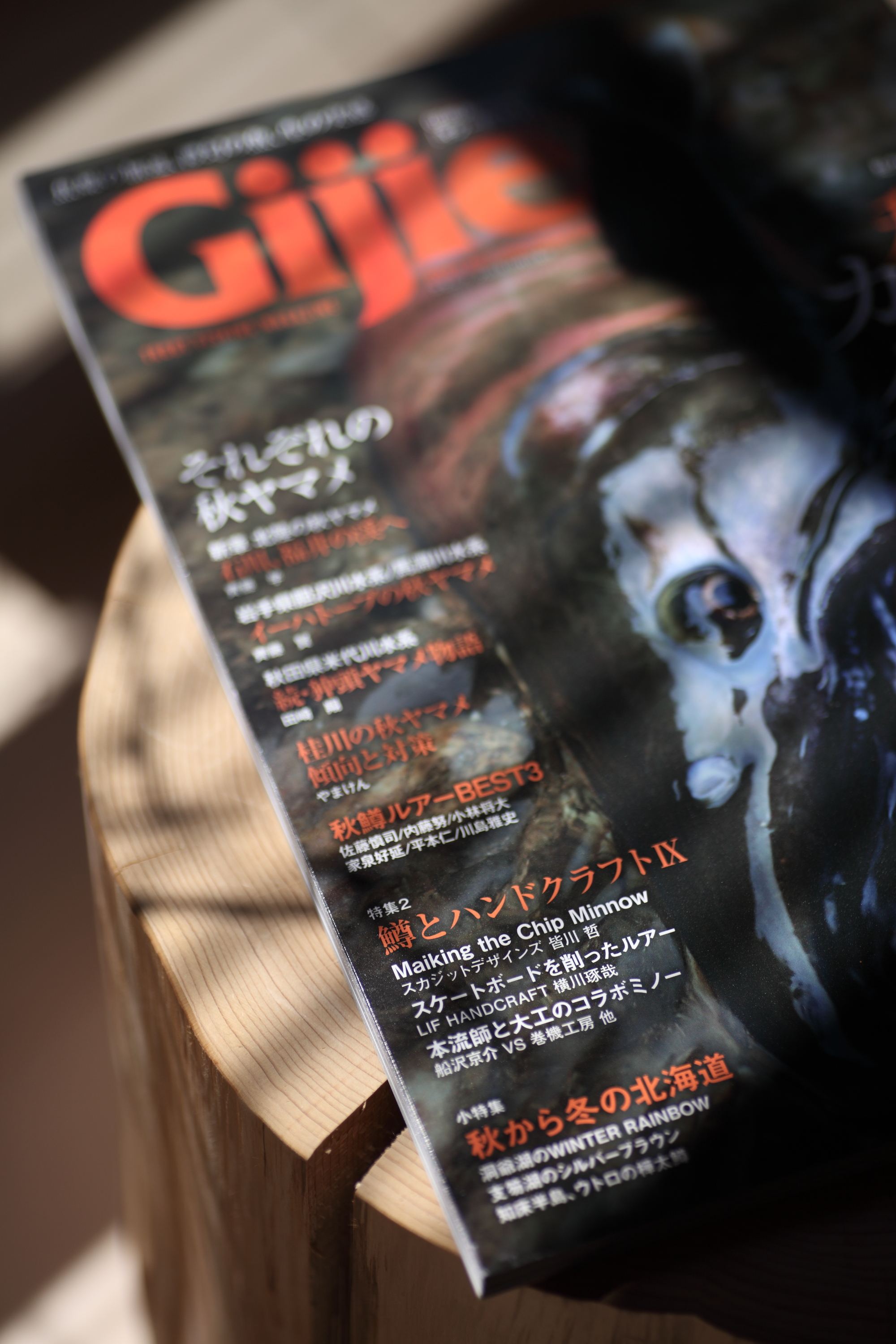 雑誌掲載のおしらせ『Gijie2021秋冬号』