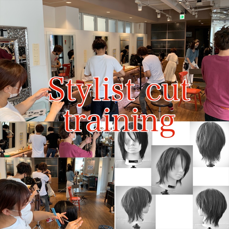 stylist  cut training