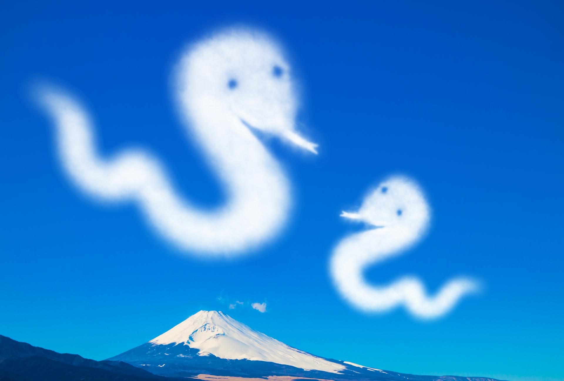 2025年（令和7年）　乙巳（きのとみ）
