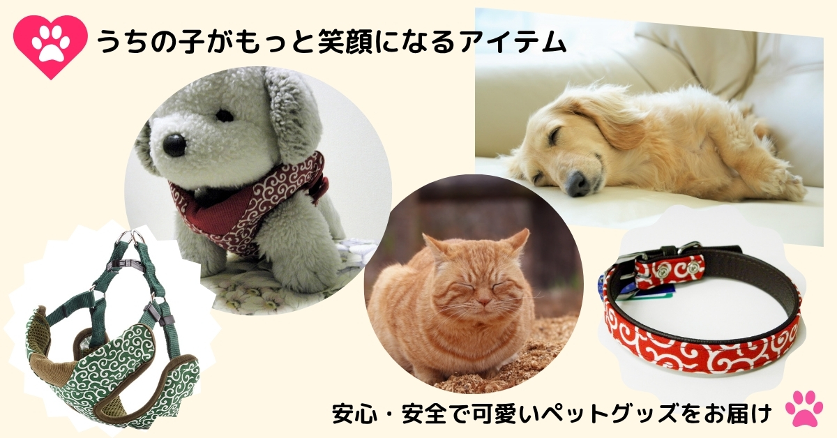 🐶🐱 ペットとの暮らしをもっと快適に！おすすめペット用品特集