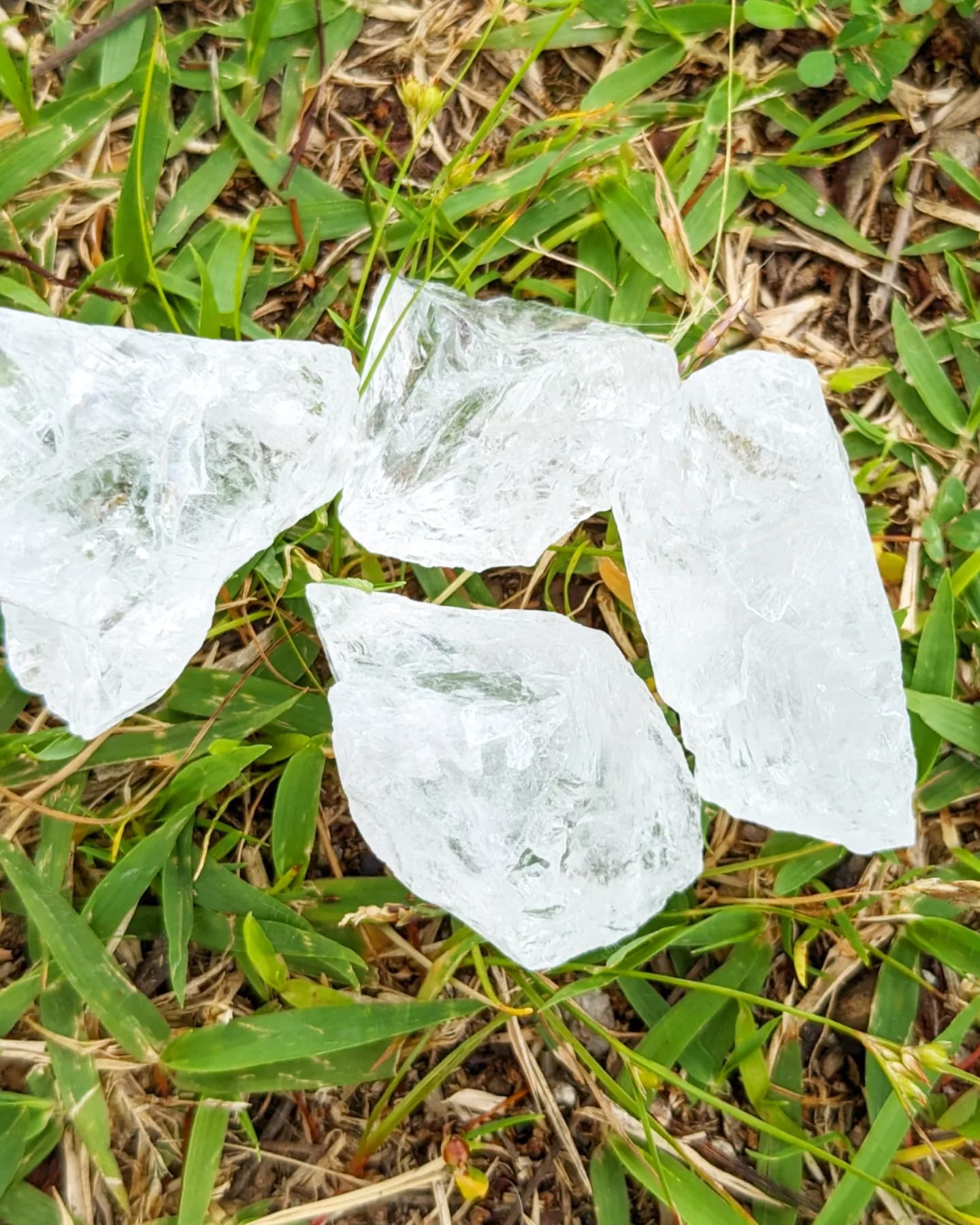 Earth Tone「地球の音色」