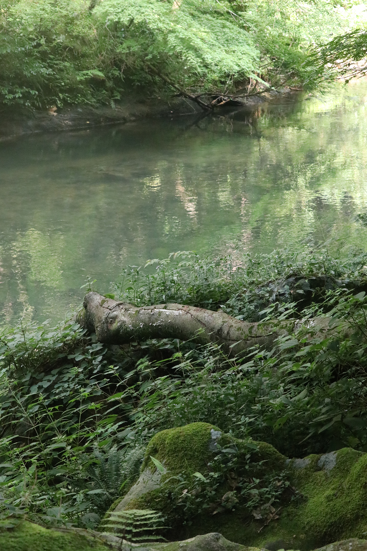 『涼しき旅路』