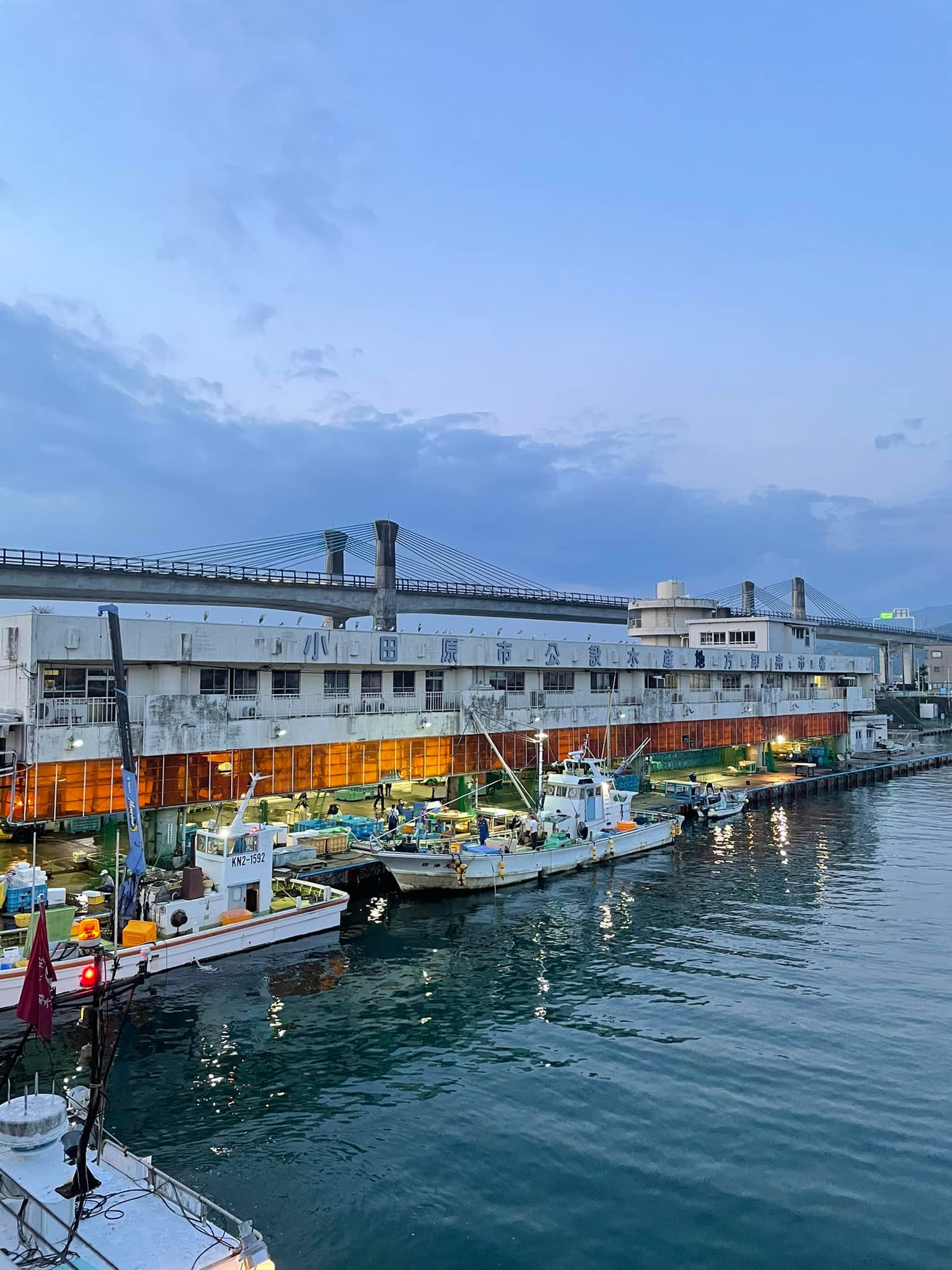 2022/8/27 小田原漁港 水揚げ情報