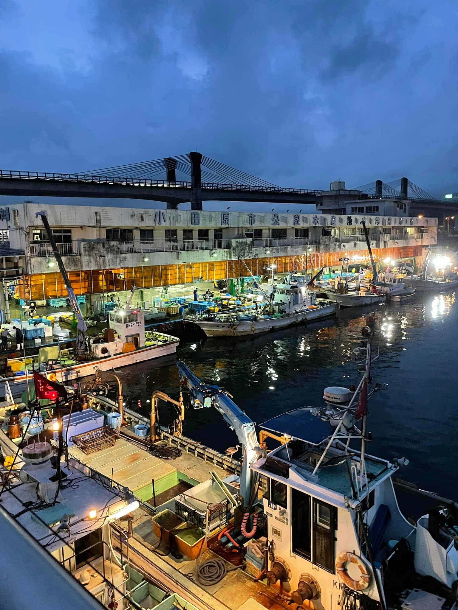 2022/9/8 小田原漁港 水揚げ情報