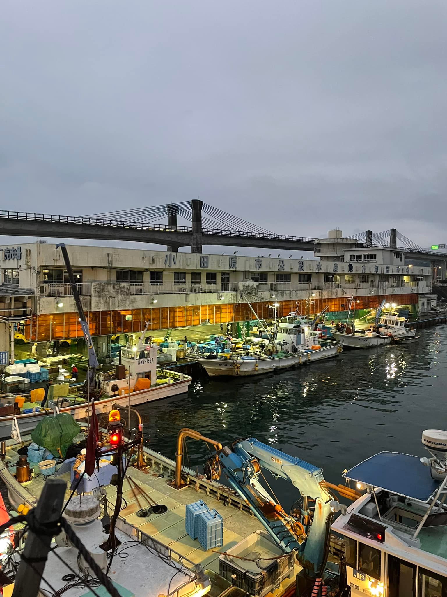 2022/8/30 小田原漁港 水揚げ情報