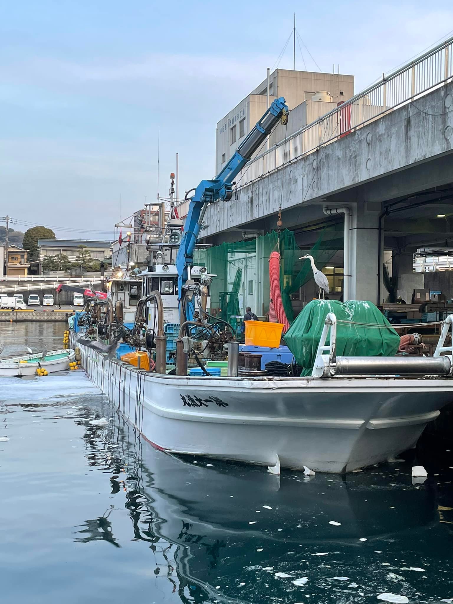 2022/4/7 小田原漁港 水揚げ情報