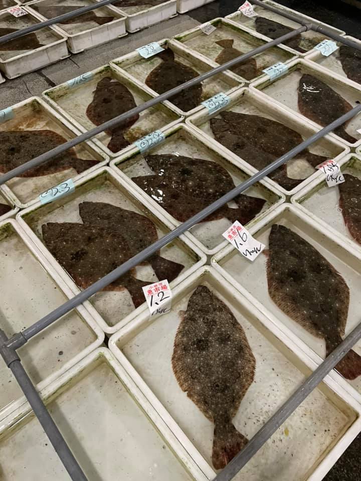 2021/3/19 小田原漁港 水揚げ情報