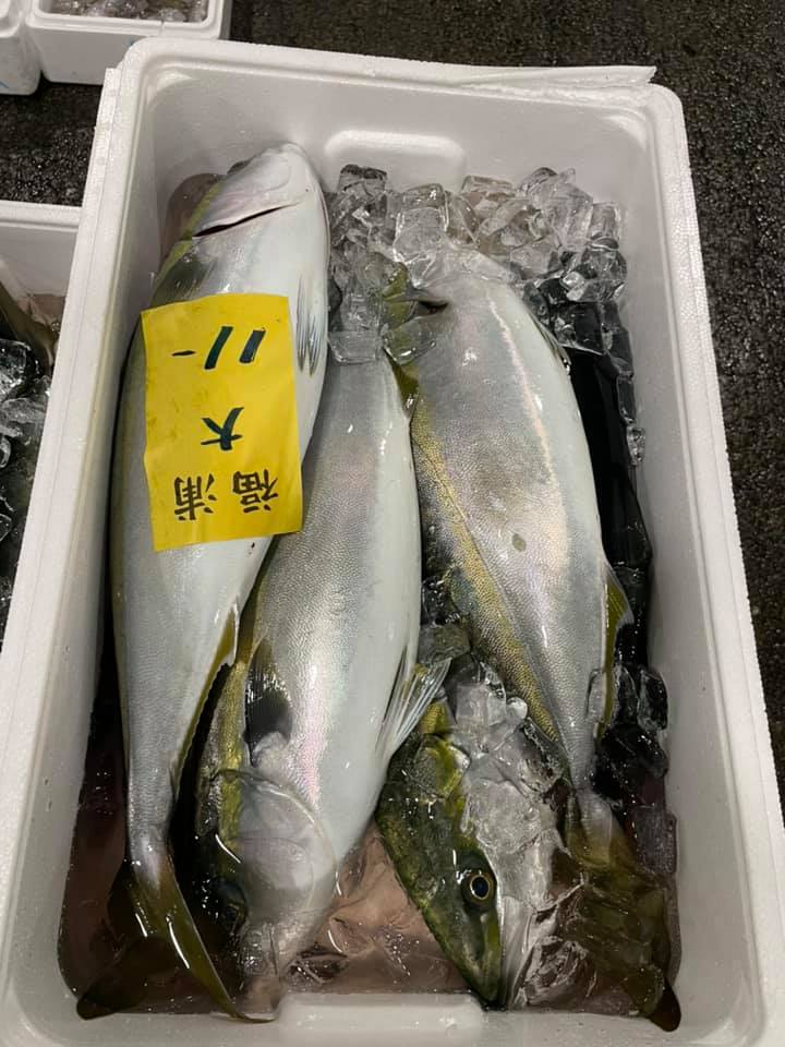 2021/4/10 小田原漁港 水揚げ情報