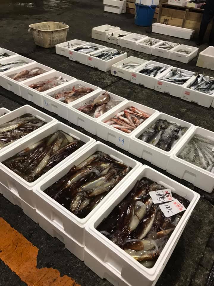 2021/2/20 小田原漁港 水揚げ情報