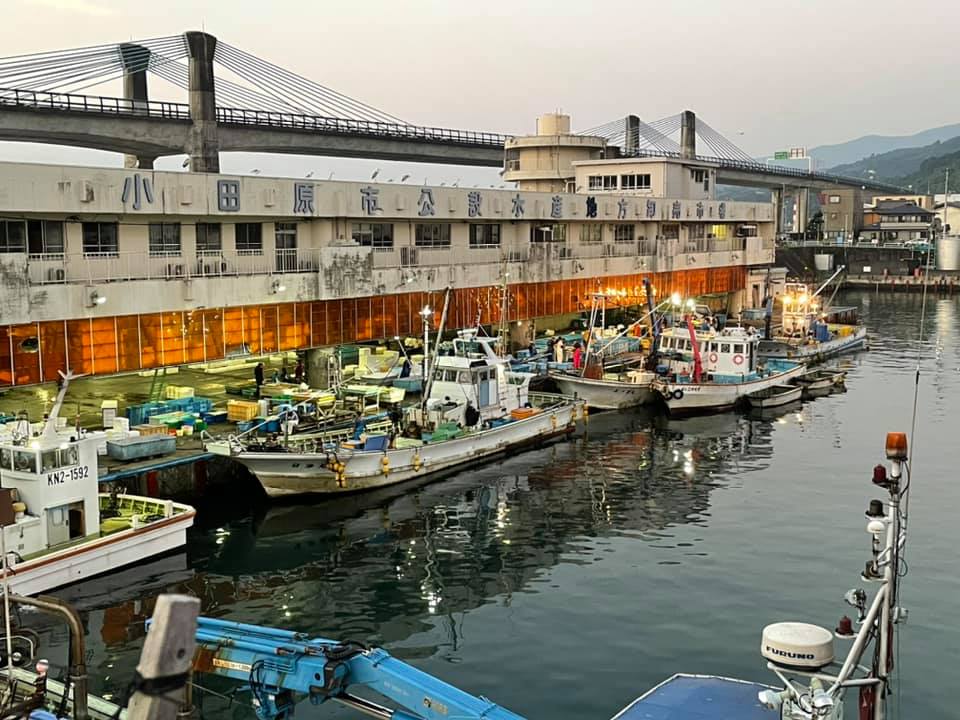 2021/8/28 小田原漁港 水揚げ情報