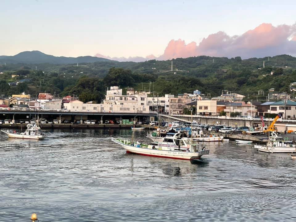 2021/10/4 小田原漁港 水揚げ情報