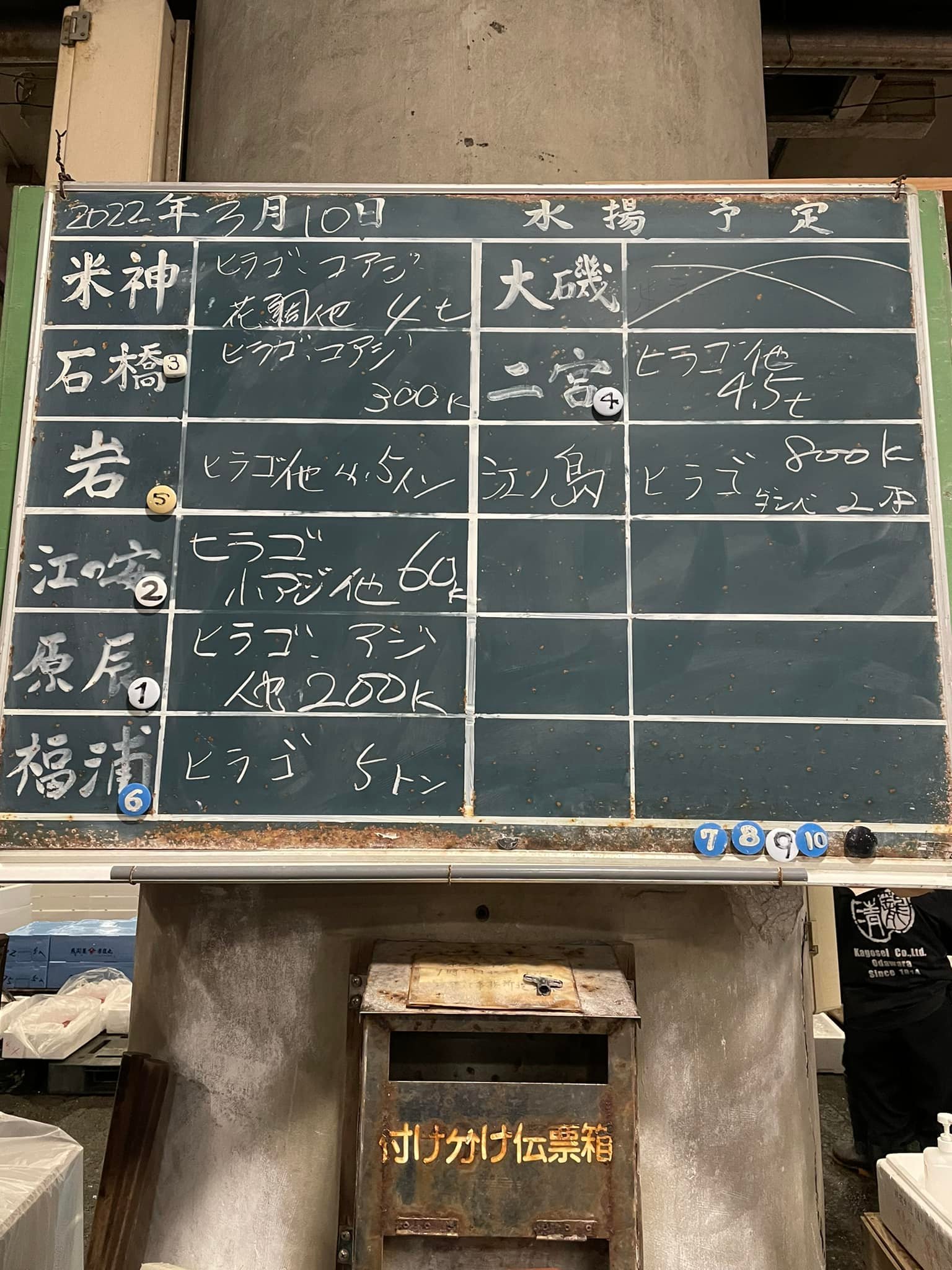 2022/3/10 小田原漁港 水揚げ情報