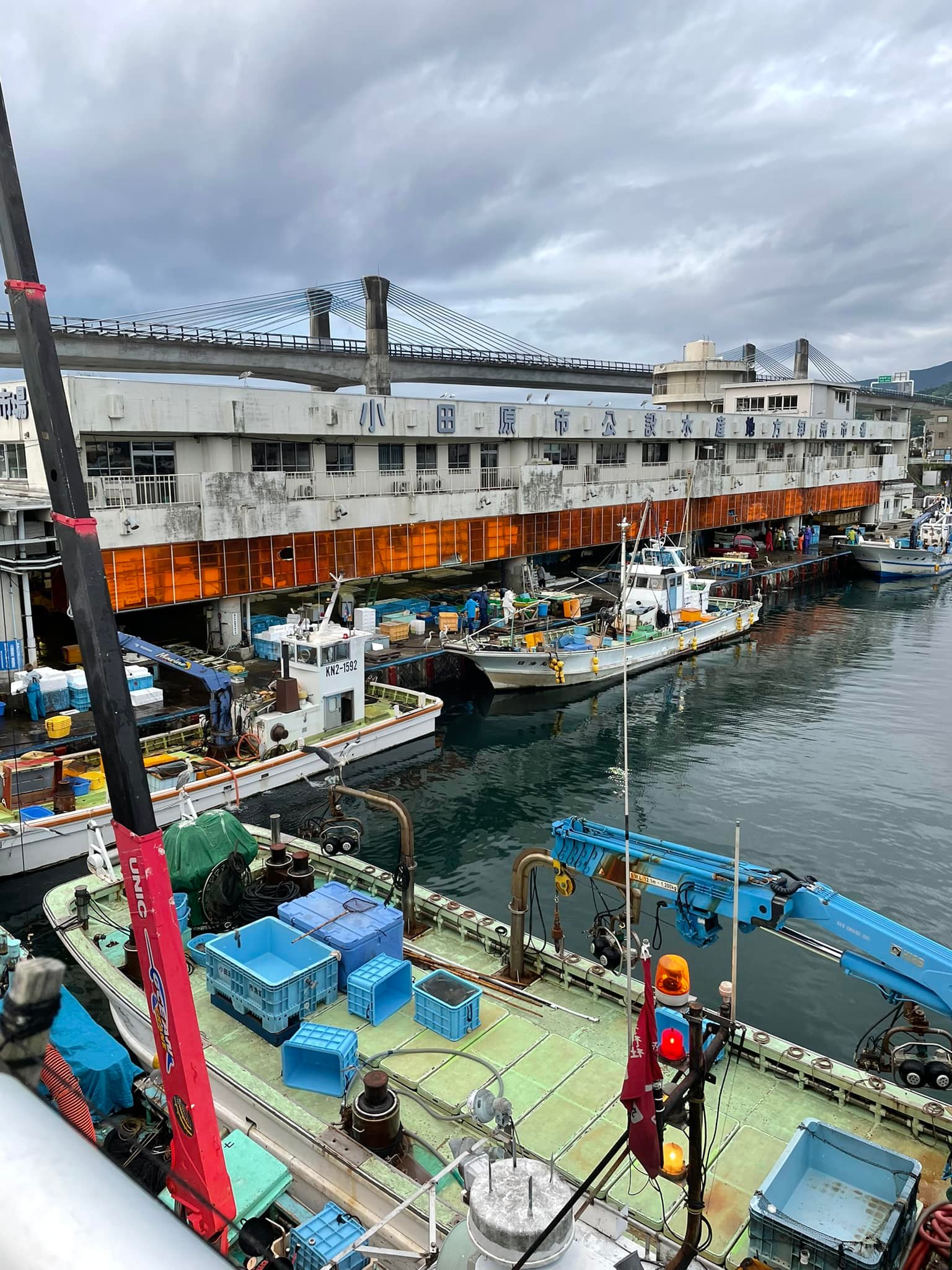 2022/5/7 小田原漁港 水揚げ情報