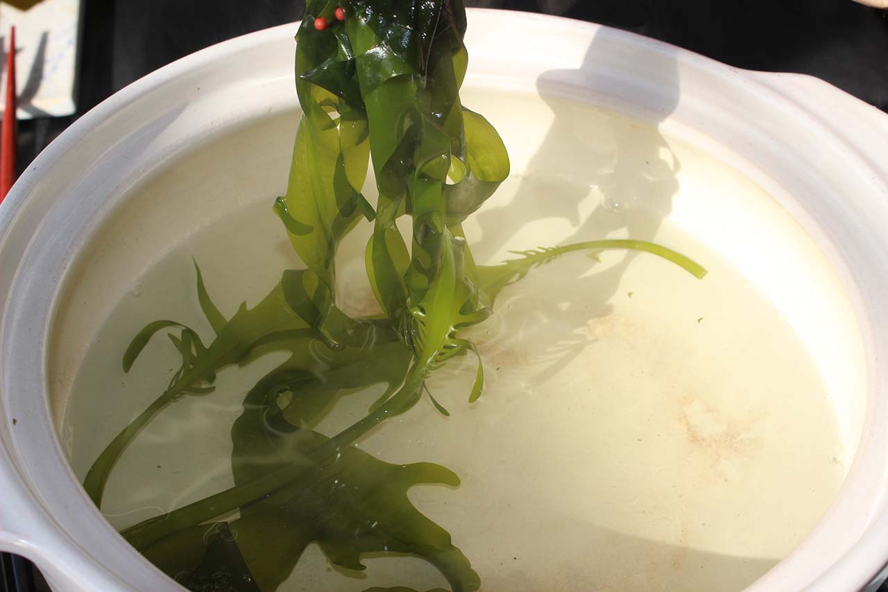 早採りワカメと、塩蔵ワカメの違い