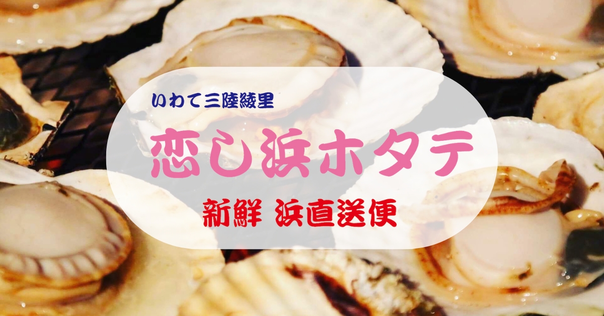 【 恋し浜ホタテ 】販売開始いたします！
