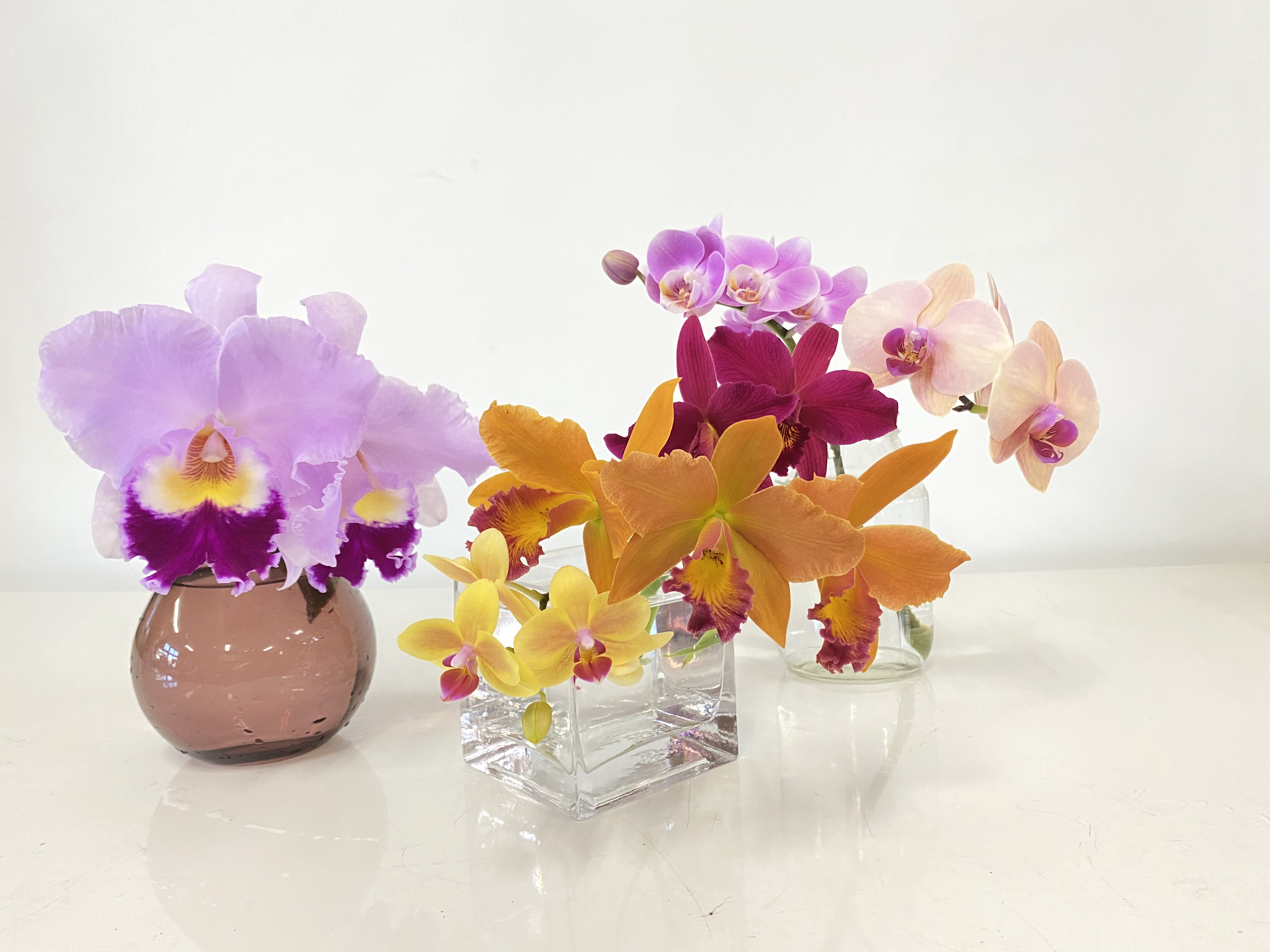 切り花セットに新たなバリエーションが登場
