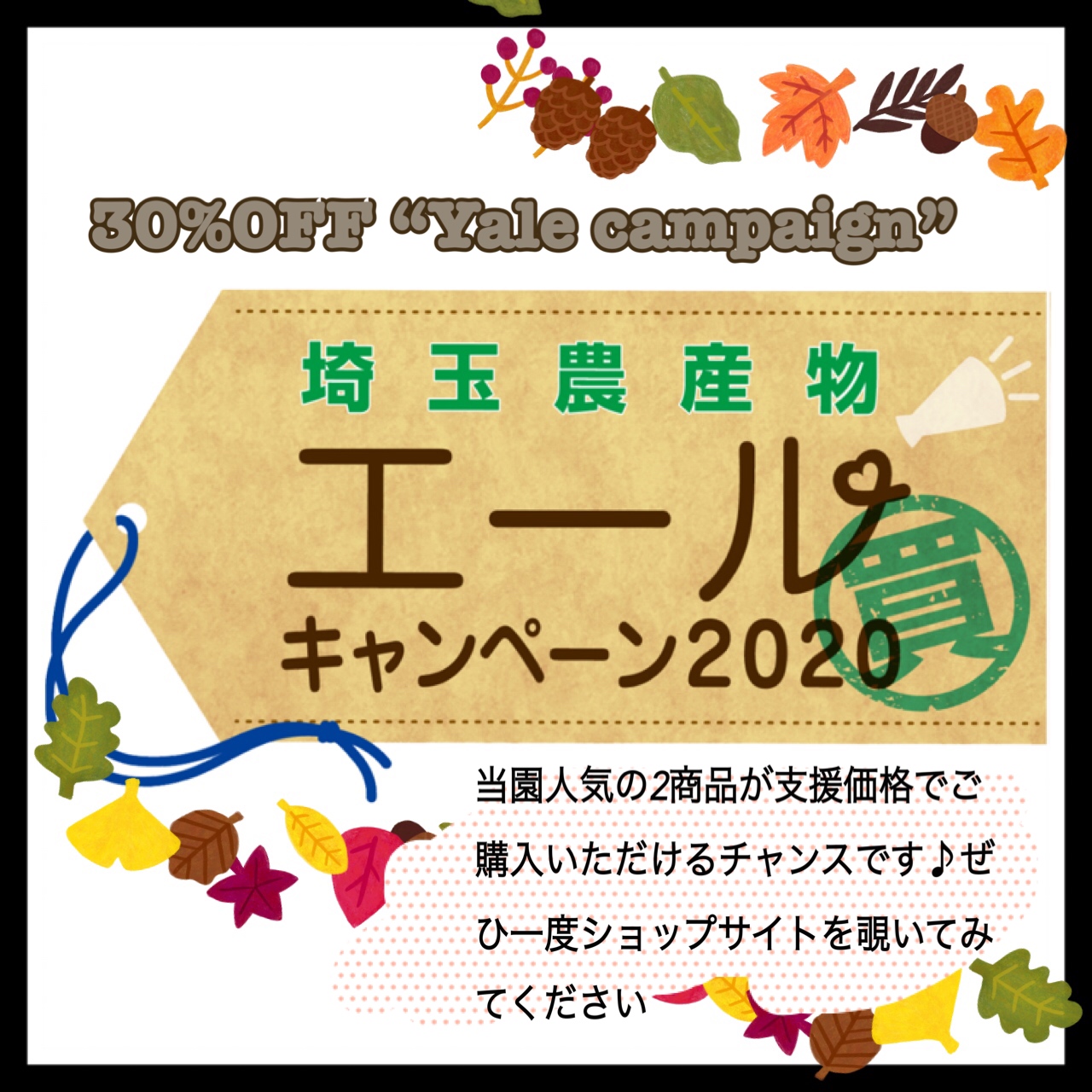 ♪♪早速送らせてもらいました♪♪エールキャンペーン参加中