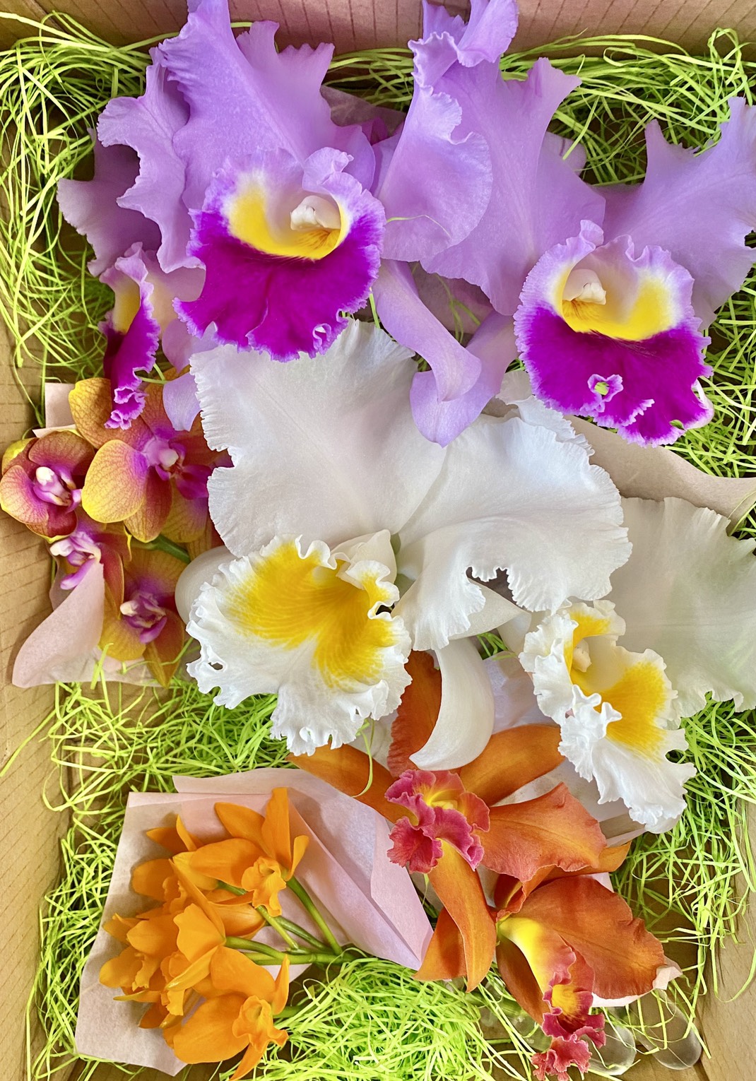 NEWS！　切り花セット販売スタートしました(^^♪