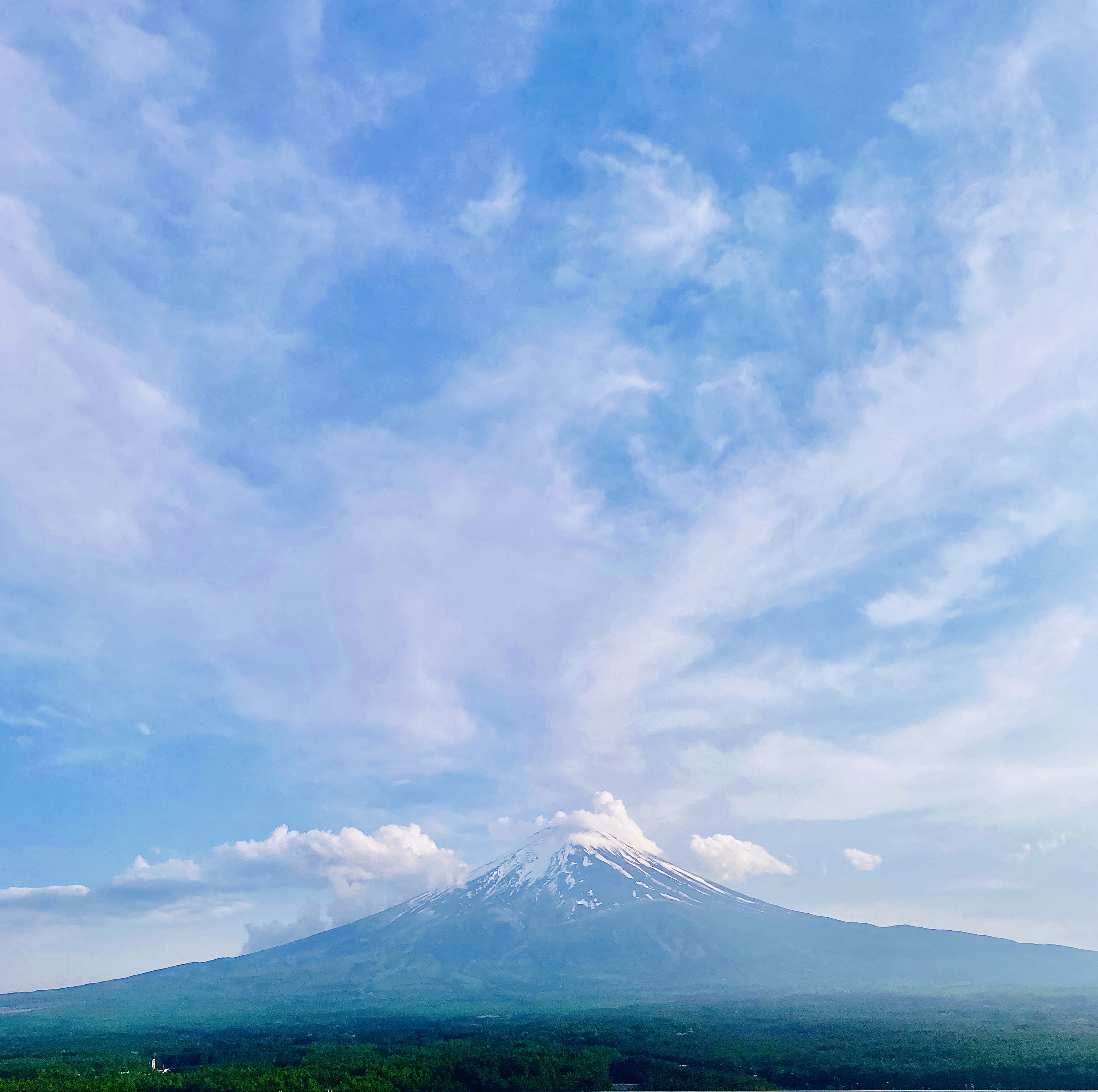 自然の美しさには敵わない