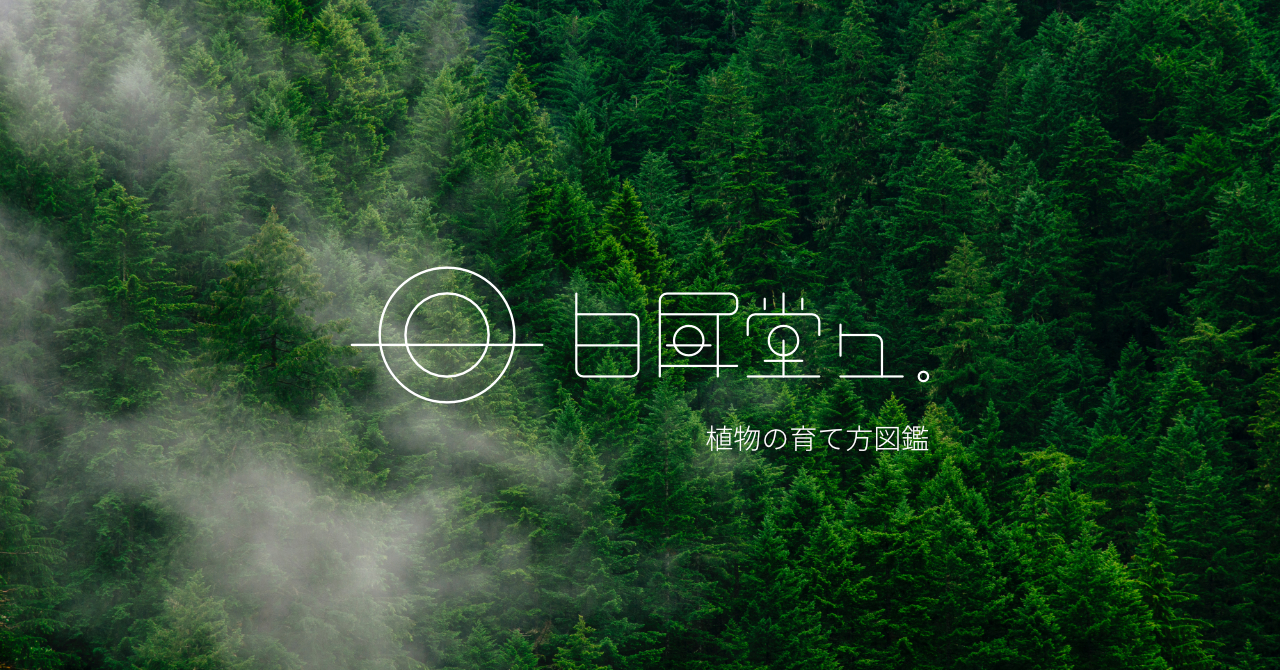 白昼堂々. 植物の育て方図鑑 公開中！！