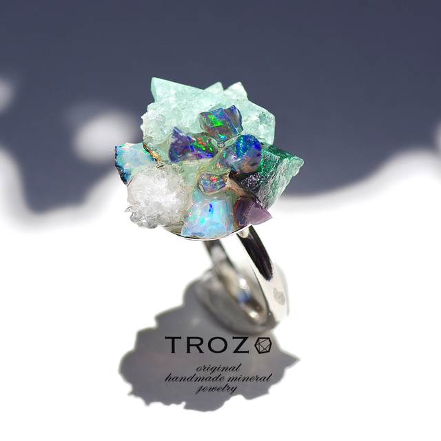 Integration Ring (インテグレーションリング) とは