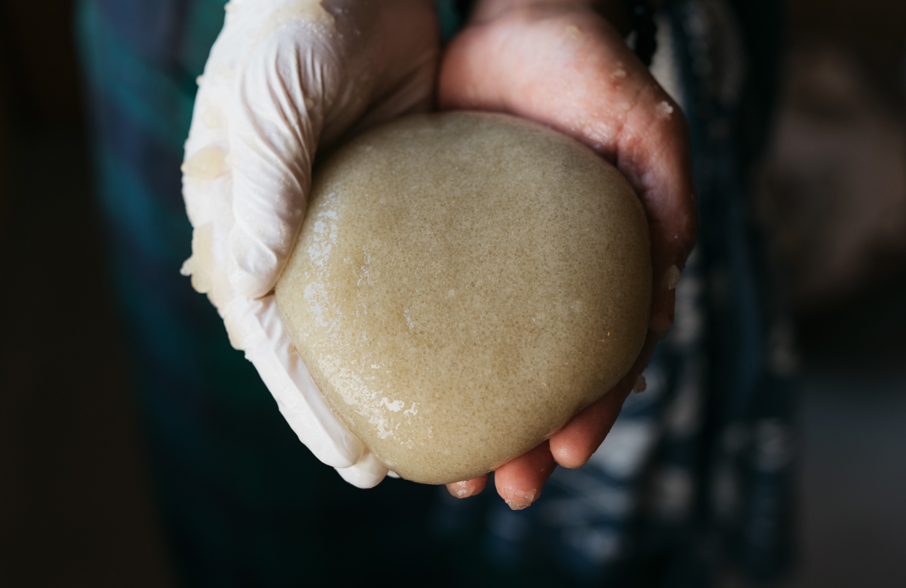 【池川こんにゃく】お山でつなぐ手作りの味@高知県仁淀川町