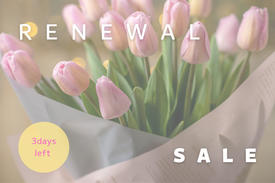 【あと3日】リニューアル記念SALE✩まもなく終了！