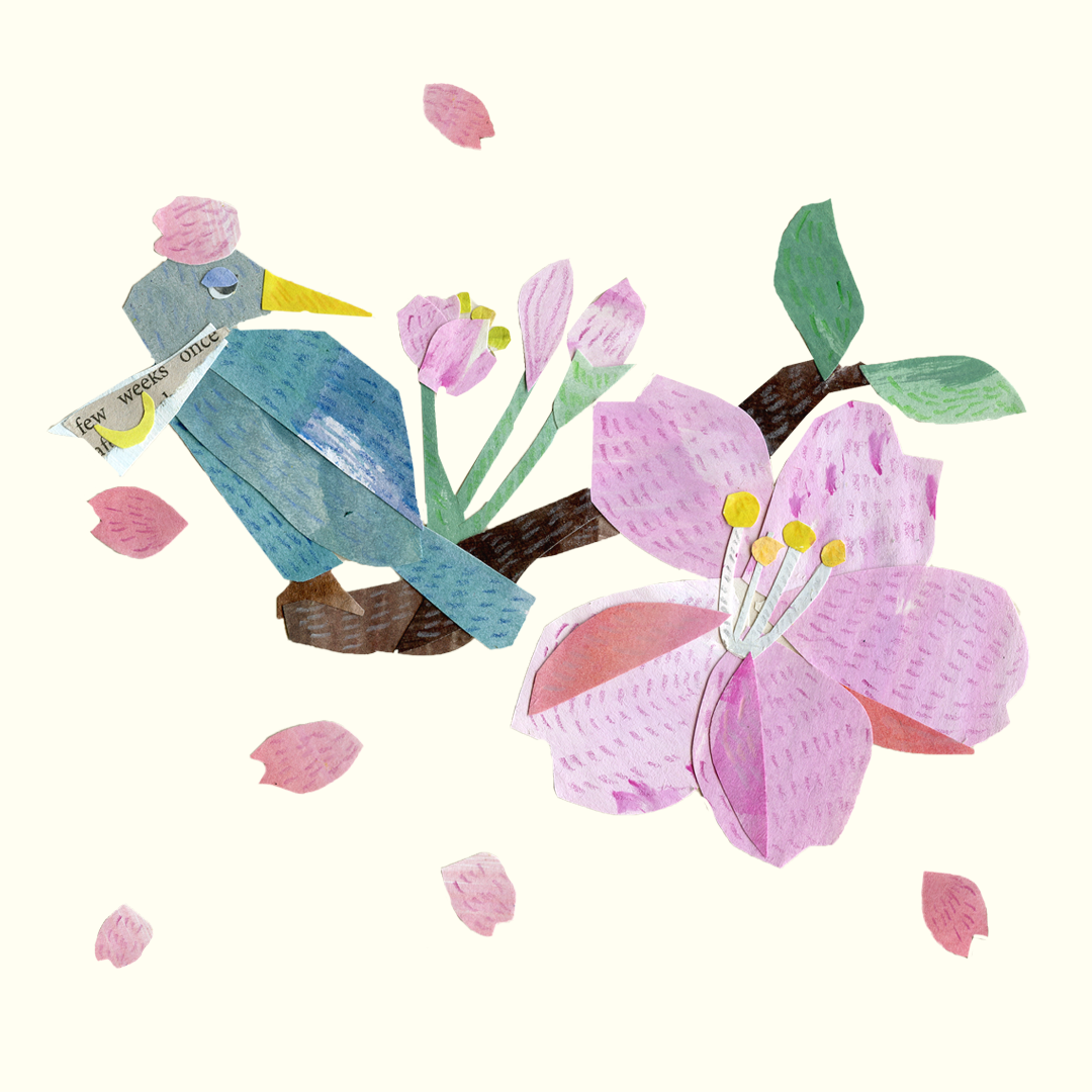 【Monthly Greetings】新生活