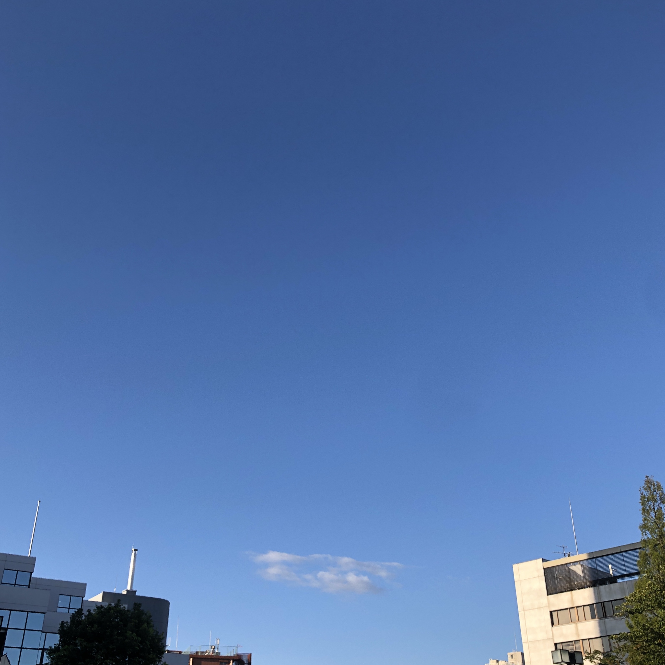 【店長コラム】ミラクル継続中…⁠