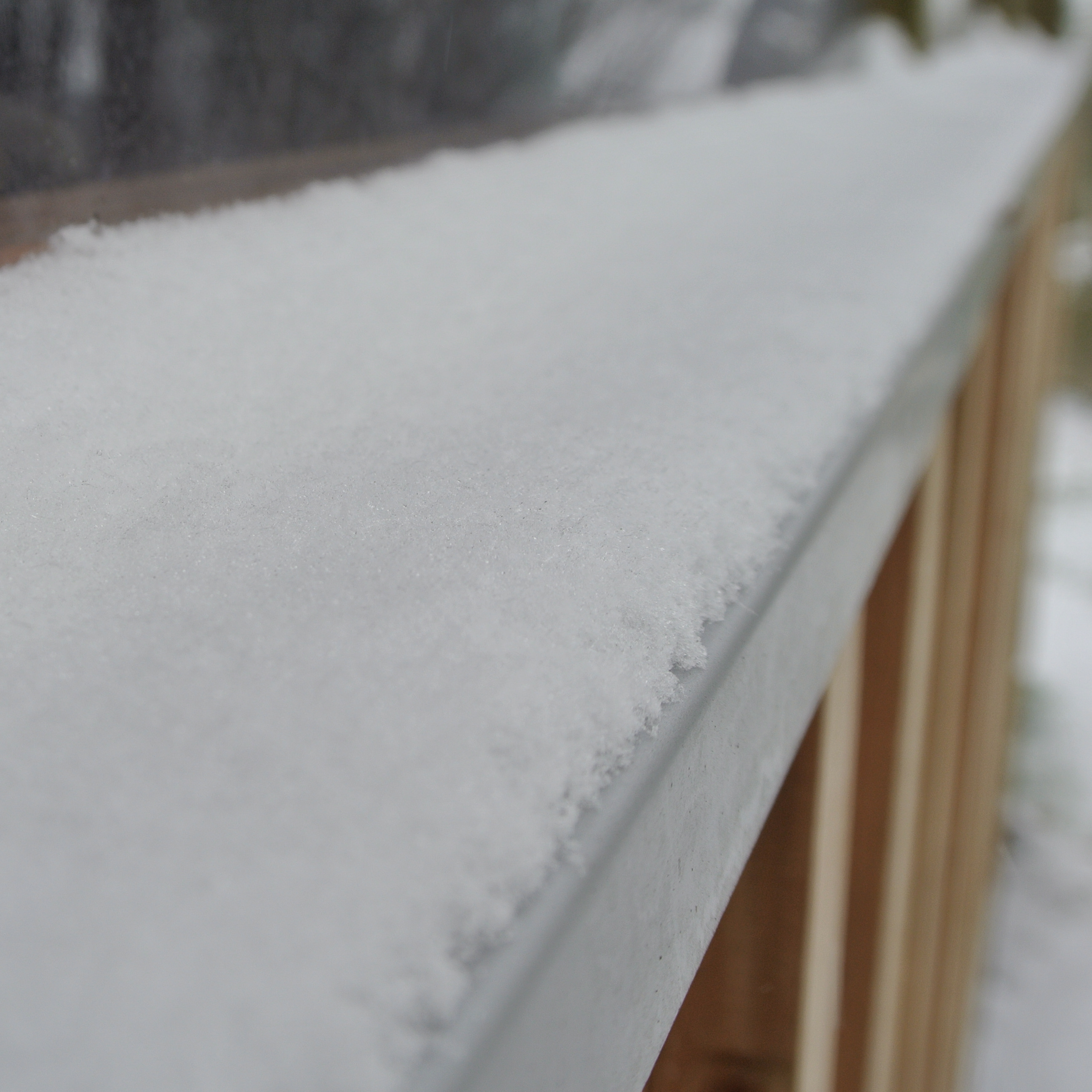 【スタッフコラム】⁠ ⁠ 雪の庭を犬は駆け回るのか⁠