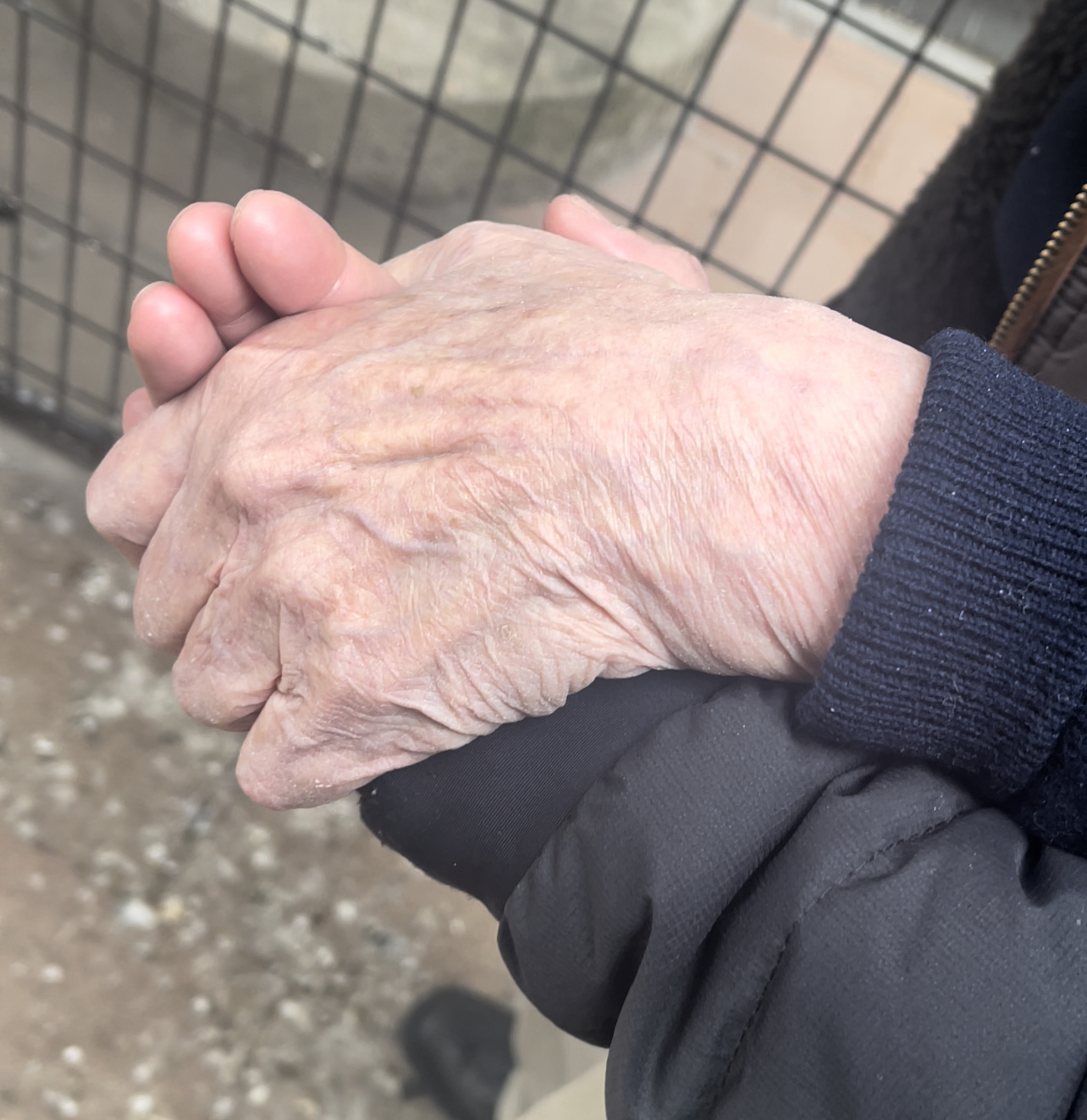 明けましておめでとうございます。
