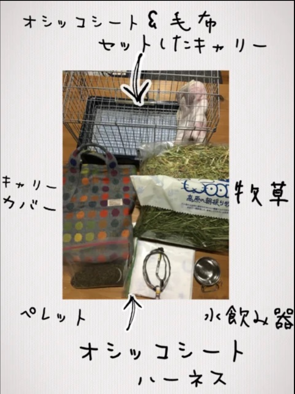 防災グッズ