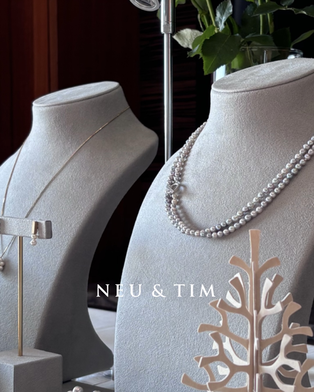 NEU & TIM サロン開催のお知らせ