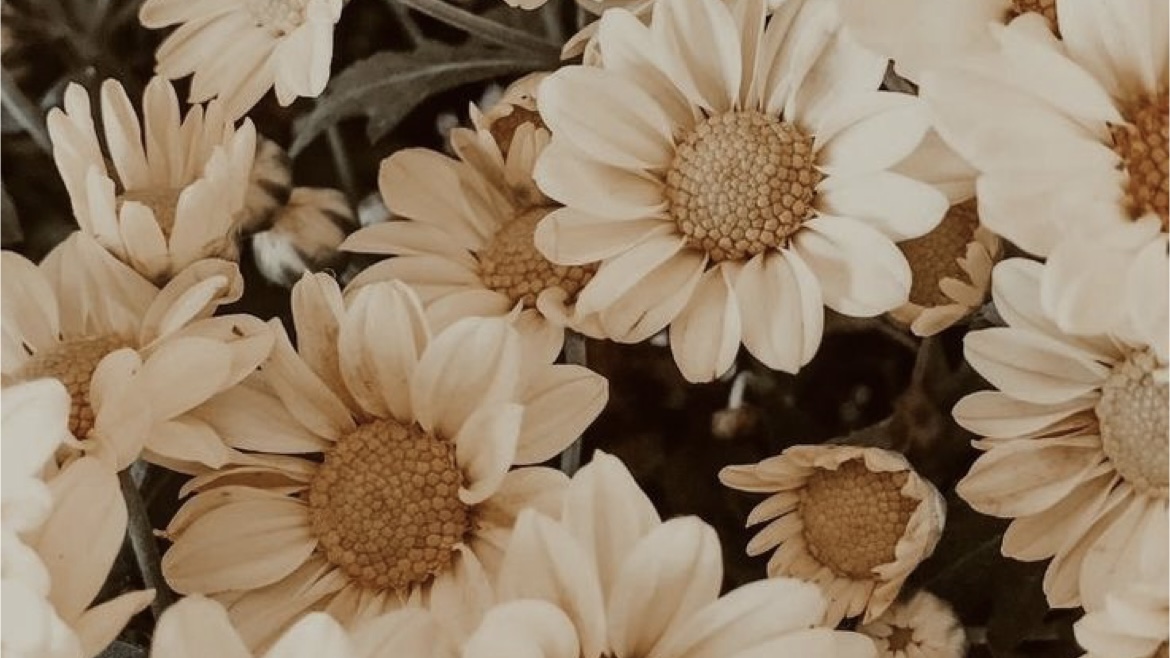 Shopping Guideを更新しました