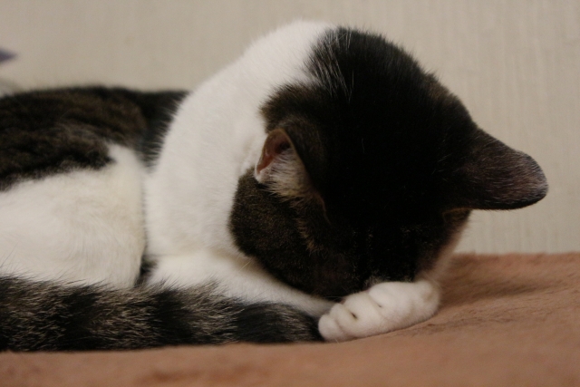 こちらのブログは継続しますねｍ（＿＿）ｍ。